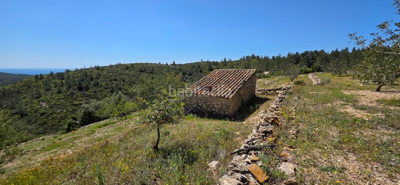 Foto c47672d5-bd05-4fd6-88dc-b083c20c3d0c. Masia a Perelló (El)