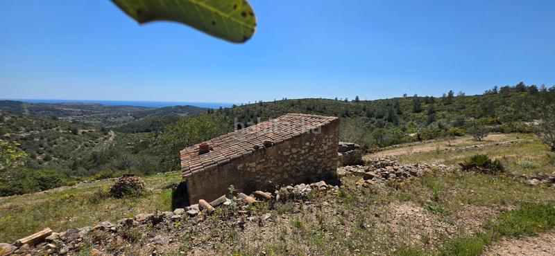 Foto d338568d-5fa5-4781-aab4-088bef121120. Masia a Perelló (El)