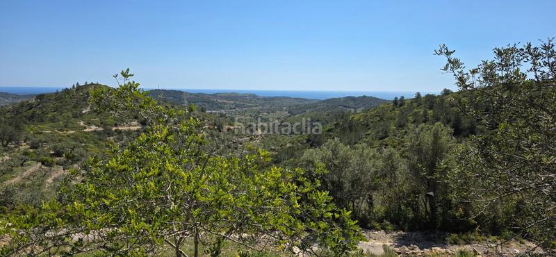 Foto dcede0c1-38d6-4c1b-999f-c731c9be36e7. Masia a Perelló (El)