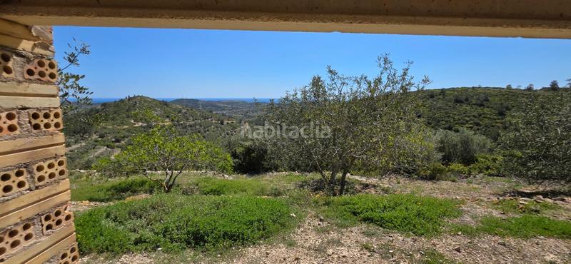 Foto eea7813e-e1c7-4712-b9e6-4c8ccab66cfd. Masia a Perelló (El)