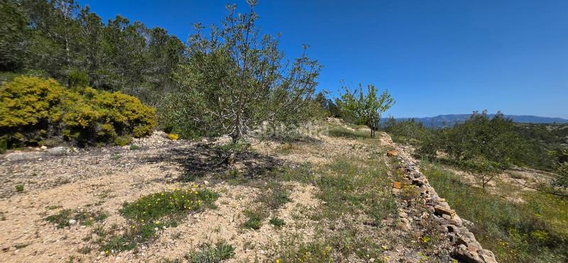 Foto f68cfbc1-4983-456b-b9d6-232c6f9b601f. Masia a Perelló (El)