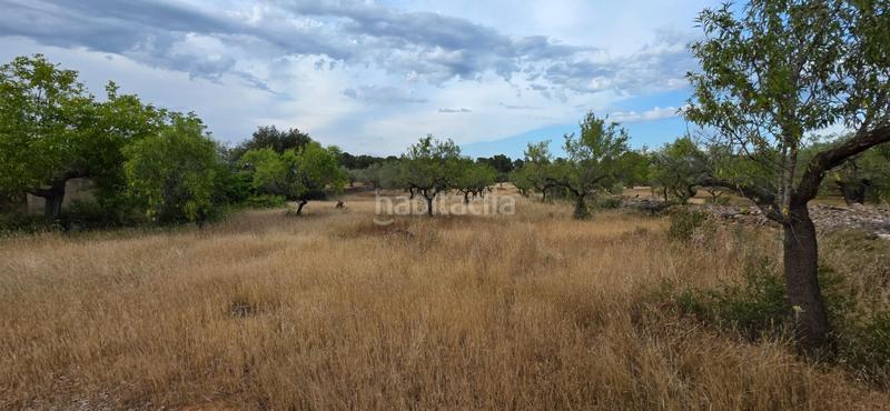 Foto 155948cf-0b33-422f-a8d4-42d536f2cd46. Masía finca rústica llana con paisaje natural a 9 km del mar en Ametlla de Mar (L´)