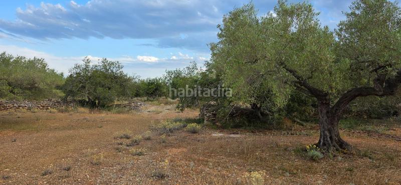 Foto bdc9059b-105f-4e3c-a8a6-762b1e3a61bd. Masía finca rústica llana con paisaje natural a 9 km del mar en Ametlla de Mar (L´)