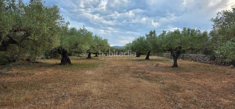 Foto c8b2c9f5-42e6-463c-bec1-0f58f6315e02. Masía finca rústica llana con paisaje natural a 9 km del mar en Ametlla de Mar (L´)