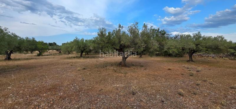Foto faef8b6e-6851-4dff-a476-d8d975f78356. Masía finca rústica llana con paisaje natural a 9 km del mar en Ametlla de Mar (L´)
