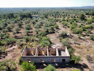 Masia a L´Ametlla de Mar. Finca rústica con vistas al mar en la costa dorada  oportunidad