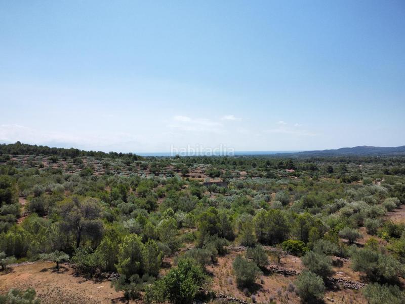 Foto 11bec47d-905c-472b-b491-96a58ed4feb5. Masía finca rústica exclusiva con masía, piscina y vistas al mar en parque natural protegido en Ametlla de Mar (L´)