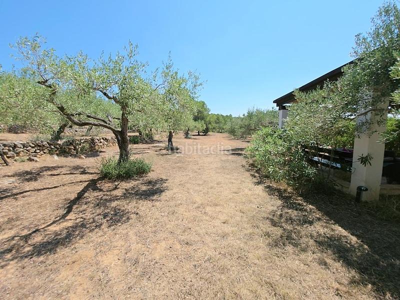 Foto 19d83e01-b710-41bb-818b-9028fbb2c57a. Masía finca rústica exclusiva con masía, piscina y vistas al mar en parque natural protegido en Ametlla de Mar (L´)