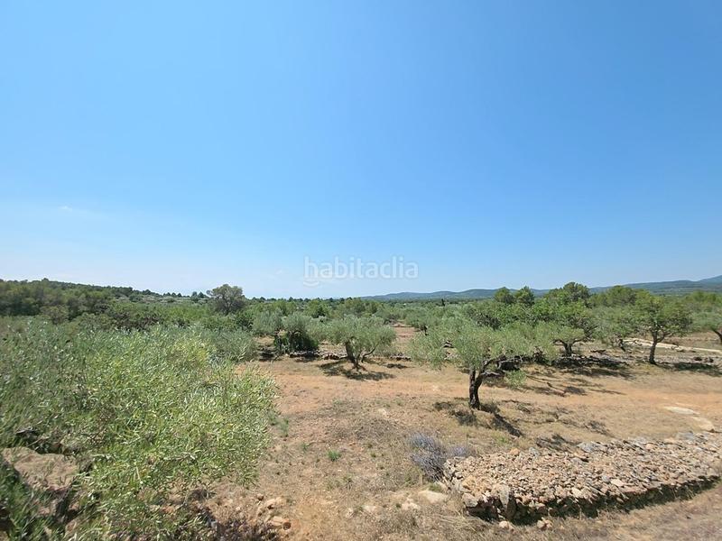 Foto 9b8b72af-3dd3-4677-9c11-b7e3b3403eeb. Masía finca rústica exclusiva con masía, piscina y vistas al mar en parque natural protegido en Ametlla de Mar (L´)