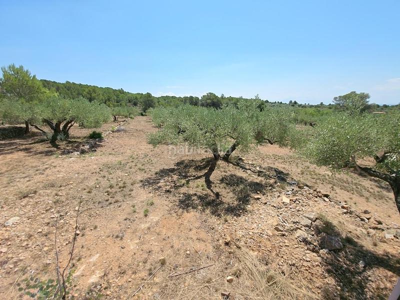 Foto 9f910f86-f919-4cfe-bd77-b92a107d082f. Masía finca rústica exclusiva con masía, piscina y vistas al mar en parque natural protegido en Ametlla de Mar (L´)