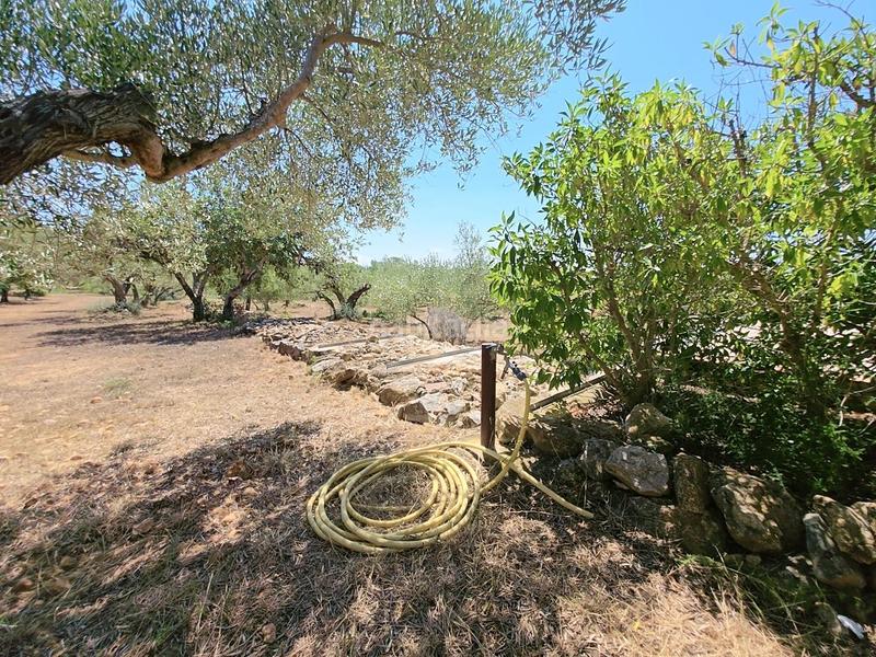 Foto bcd0e0ee-9fa6-4fcb-a279-ab8cd5c205b9. Masía finca rústica exclusiva con masía, piscina y vistas al mar en parque natural protegido en Ametlla de Mar (L´)