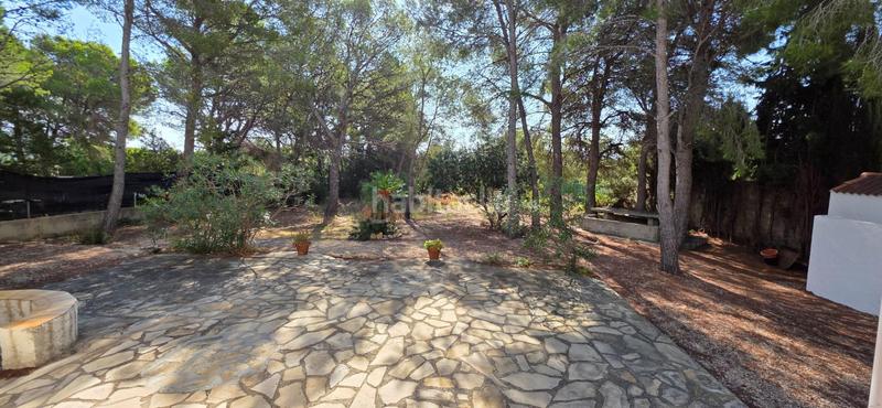 Foto 987253ee-d597-4674-a902-163898780a9c. Casa chalet unifamiliar con gran parcela ajardinada a 750 m de las calas de lametlla de mar en Ametlla de Mar (L´)