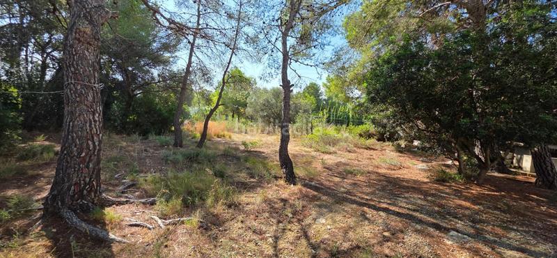 Foto e46565d5-1d7e-48c1-b3db-5e2cca7a7238. Casa chalet unifamiliar con gran parcela ajardinada a 750 m de las calas de lametlla de mar en Ametlla de Mar (L´)