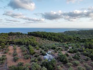 Mas�a en Roques Daurades-L�Estany. Exclusiva finca r�stica junto al mar, con casa para restaurar, a