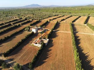Masia a Camarles. Gran finca de cultivo de regadío de 23 has con 3 viviendas y 2 a