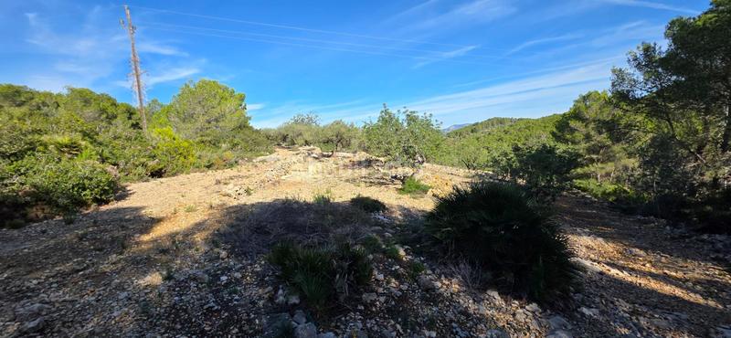 Foto 11366175-9e21-4d00-9f44-52a7c83744ee. Masia a Perelló (El)