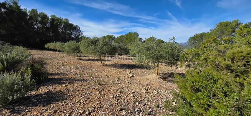 Foto 1d0700d5-5fe1-4ad3-a009-9166078e70b0. Masia a Perelló (El)