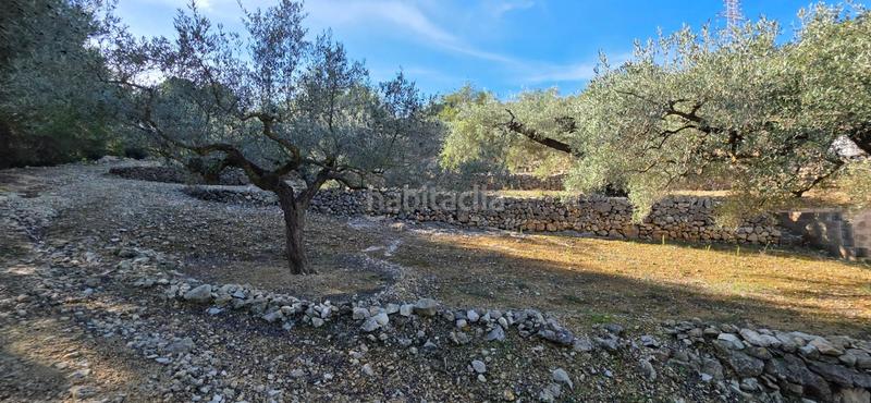 Foto 5d316d6f-a4bc-424e-8250-ae32d2bfa120. Masia a Perelló (El)