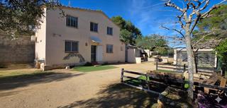 Mas à Perelló (El). Finca rústica con vivienda y olivos a 900 m del perelló y cerca