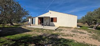 Mas�a en L�Ametlla de Mar. Finca r�stica plana de 8.583 m2 con casita, electricidad y vista