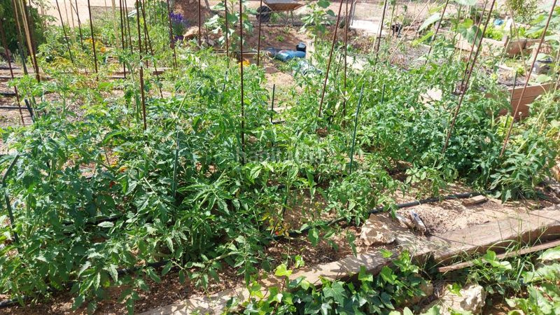 Foto 6d4c4455-0278-424f-95c5-98195273717e. Masia amb aparcament piscina a Ampolla (L´)