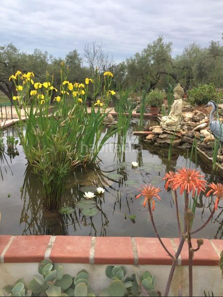 Foto e5ad1e63-385b-404b-9a0e-8368409f00e1. Masia amb aparcament piscina a Ampolla (L´)