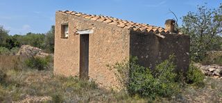 Mas à L´Ametlla de Mar. Finca rústica con olivos a 4 km de lametlla de mar, en entorno n