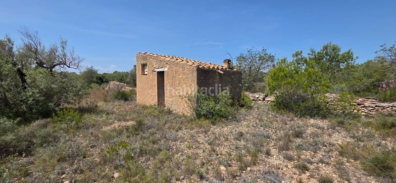 Foto 1752df6d-9399-4b48-9724-2f64e5186006. Bauernhof in L´Ametlla de Mar Ametlla de Mar (L´)