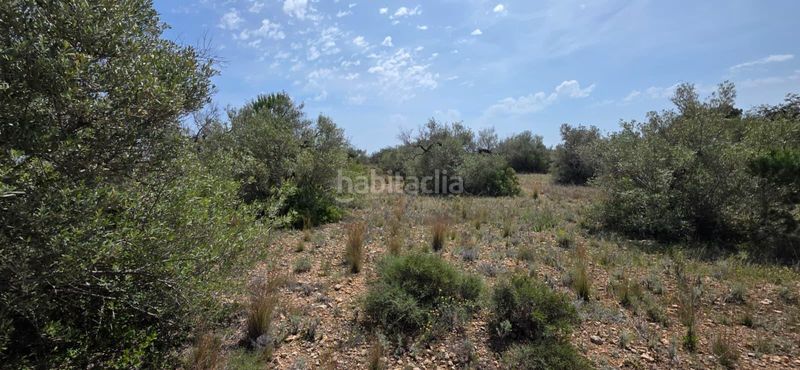 Foto 68d5f73f-8345-4922-9683-8e253b2cdb2a. Bauernhof in L´Ametlla de Mar Ametlla de Mar (L´)