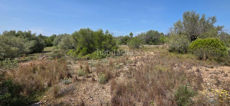 Foto cffca7d3-abca-474d-a402-1076ed0235f0. Bauernhof in L´Ametlla de Mar Ametlla de Mar (L´)