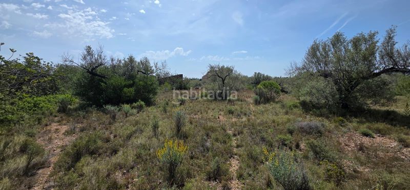 Foto fb71be93-a10f-44c1-8213-3885c8b7ef08. Bauernhof in L´Ametlla de Mar Ametlla de Mar (L´)