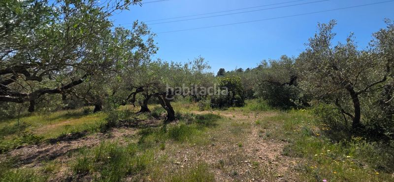 Foto b663d497-9cfe-42f7-ac89-796fcf9f074e. Masia amb piscina a Perelló (El)