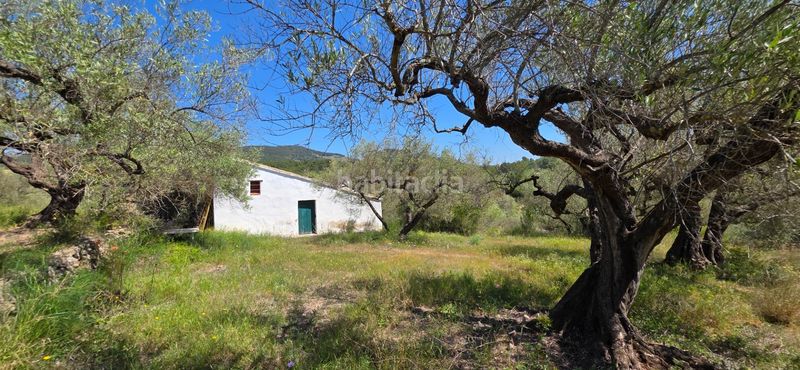 Foto cde31000-7586-4d87-b28a-eeeaa4f52a06. Masia amb piscina a Perelló (El)