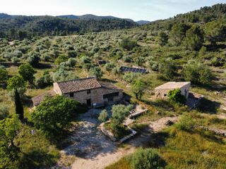 Bauernhof in Tivissa. Espectacular finca r�stica con dos viviendas, mas�a para rehabil