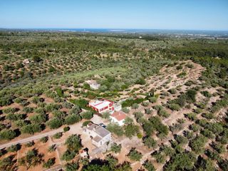 Mas�a en Aldea (L�). Finca r�stica con vistas al mar y al delta del ebro, a solo 11 k