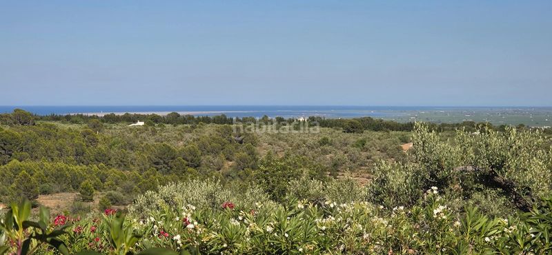 Foto c44f2d7e-3727-4c0c-b02b-e13cc18aae7f. Masia a Aldea (L´)