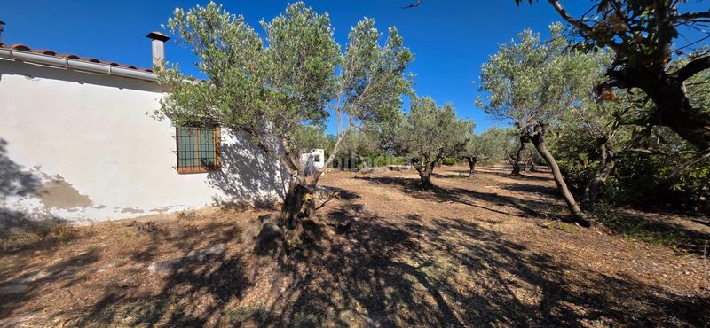 Foto dec9fe9d-c24c-4128-90ec-b303d552ec4b. Masia a Aldea (L´)