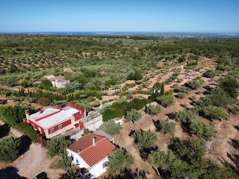 Foto f7bf7649-a999-4e16-988b-2fcac4039a75. Masia a Aldea (L´)