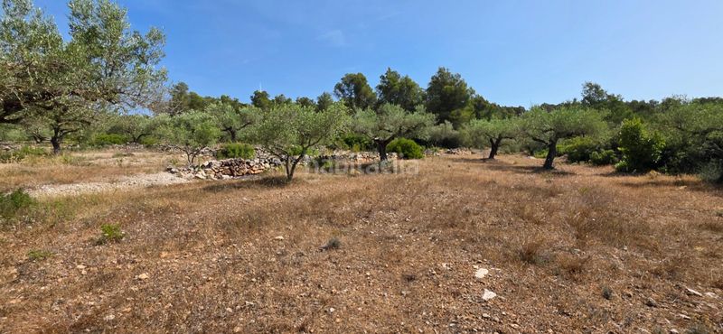Foto 870d3240-ba3b-4da3-9e56-7aeb9b391ed6. Masia amb aparcament piscina a Perelló (El)