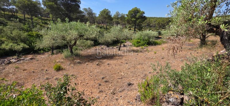 Foto ce3cc043-dc63-4d33-919b-0f607f157067. Masia amb aparcament piscina a Perelló (El)