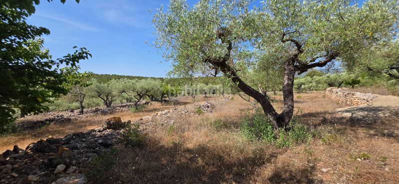 Foto e575f8d1-f593-41ca-8d47-e3d8276bfa73. Masia amb aparcament piscina a Perelló (El)
