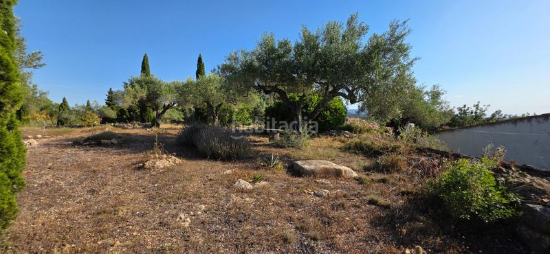 Foto 52e93d0d-3a21-49ed-8935-dfc79812873b. Masia amb calefacció aparcament piscina a Perelló (El)