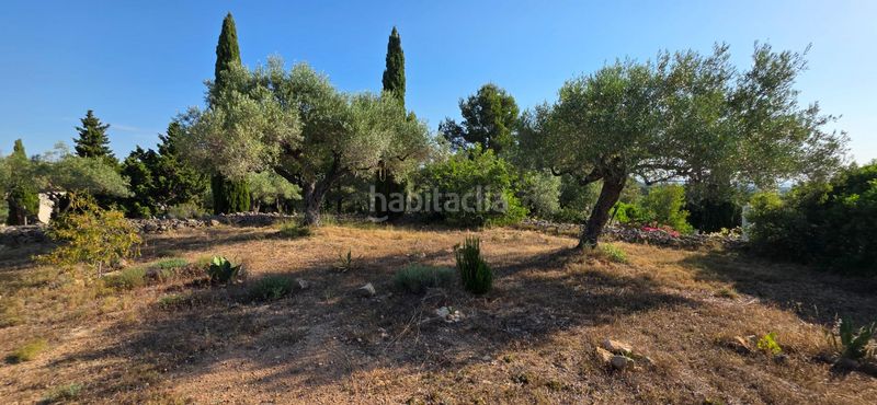 Foto 74000c79-e961-4ee1-9b81-b2056da974aa. Masia amb calefacció aparcament piscina a Perelló (El)