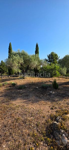 Foto 781f0116-3c4a-4576-871f-e9d6037e736e. Masia amb calefacció aparcament piscina a Perelló (El)
