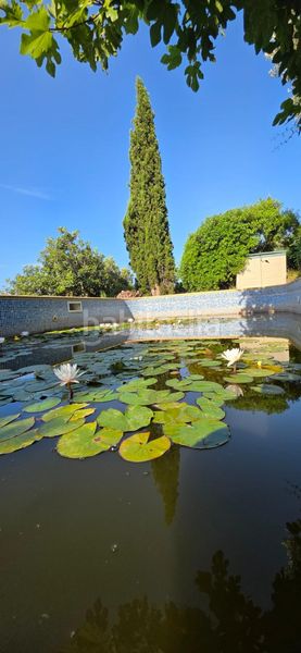 Foto b68976ea-4f49-4064-bca1-a96bf1c73d0b. Masia amb calefacció aparcament piscina a Perelló (El)