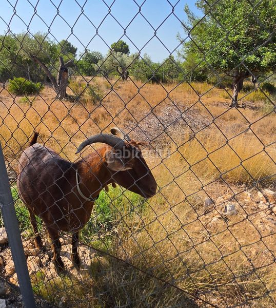 Foto 87689856-ba07-4ce5-9285-2e304713e5d6. Masia amb piscina a Perelló (El)
