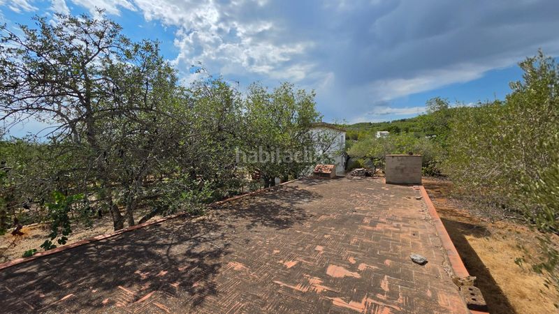 Foto 09c99dd3-a5b6-4d2e-b2a2-76c049d5d6c9. Masía magnífica finca rústica de 14.000 m2 con casa legalizada, luz de red y pozo propio a 5 km del mar en Perelló (El)