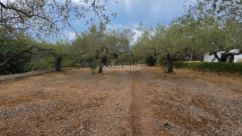 Foto 0c674c61-67b6-4ae7-b7b5-79ee492e5707. Masía magnífica finca rústica de 14.000 m2 con casa legalizada, luz de red y pozo propio a 5 km del mar en Perelló (El)