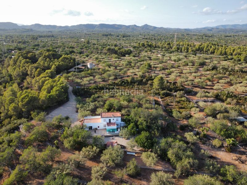 Foto 1f52ee3f-7264-4077-a7a3-989f70344261. Masía magnífica finca rústica de 14.000 m2 con casa legalizada, luz de red y pozo propio a 5 km del mar en Perelló (El)