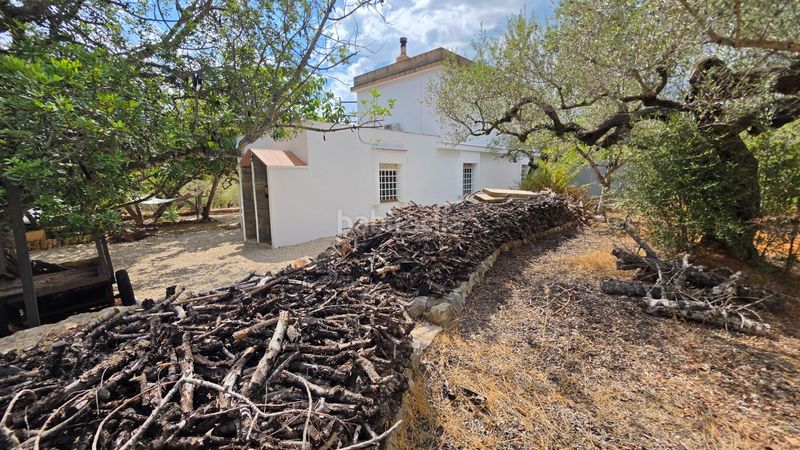 Foto 318a0e0e-fb7c-48eb-ae62-a141abf10a2e. Masía magnífica finca rústica de 14.000 m2 con casa legalizada, luz de red y pozo propio a 5 km del mar en Perelló (El)